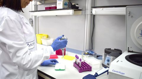 Un “algoritmo de riesgo” podría cambiar la forma de detectar el cáncer de mama