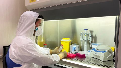 Un nuevo test genético PCR permitirá realizar 7.000 pruebas diagnósticas diarias de la Covid-19