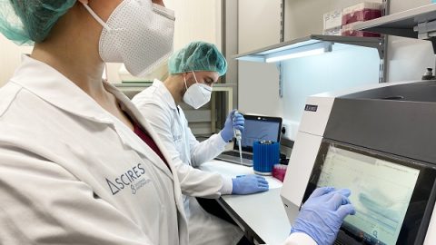 Nova PCR Variant per a identificar les variants britànica, brasilera, sud-africana, delta i delta plus del coronavirus